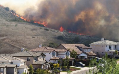 How Do I Know If My Land is Bushfire-Prone?