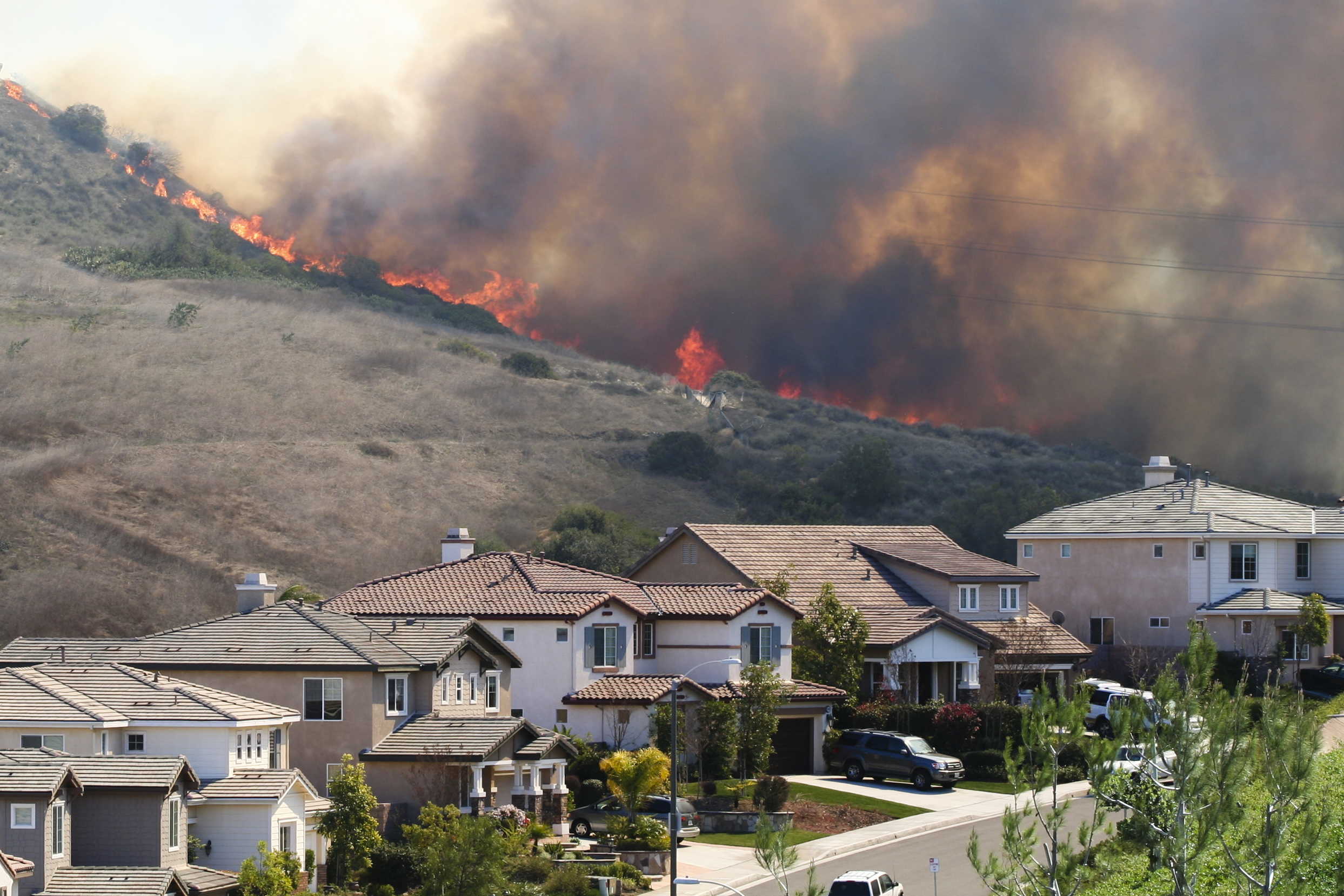 How Do I Know If My Land is Bushfire-Prone?