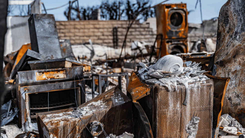 palisades fire devastation