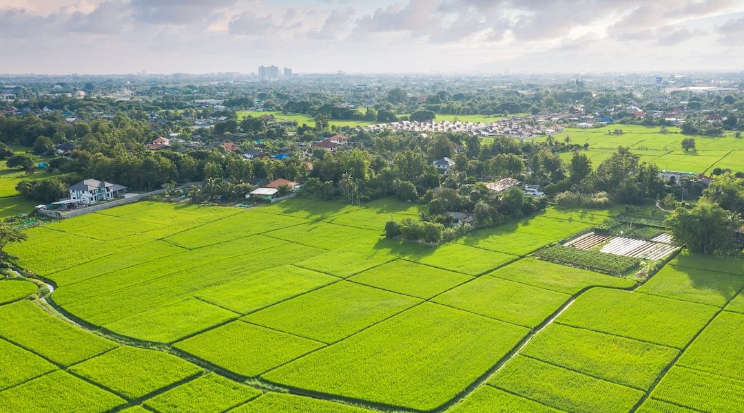 What’s the Difference Between Greenfield vs. Brownfield Sites in Land Development?