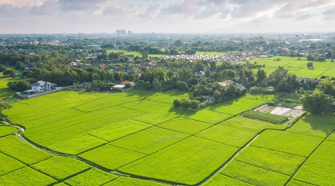 What’s the Difference Between Greenfield vs. Brownfield Sites in Land Development?