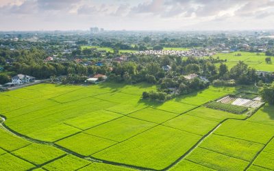 What’s the Difference Between Greenfield vs. Brownfield Sites in Land Development?