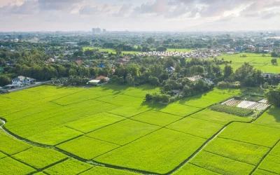 What’s the Difference Between Greenfield vs. Brownfield Sites in Land Development?