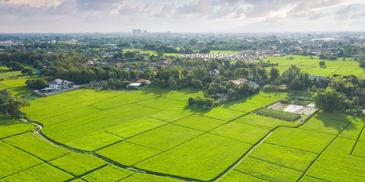 What’s the Difference Between Greenfield vs. Brownfield Sites in Land Development?